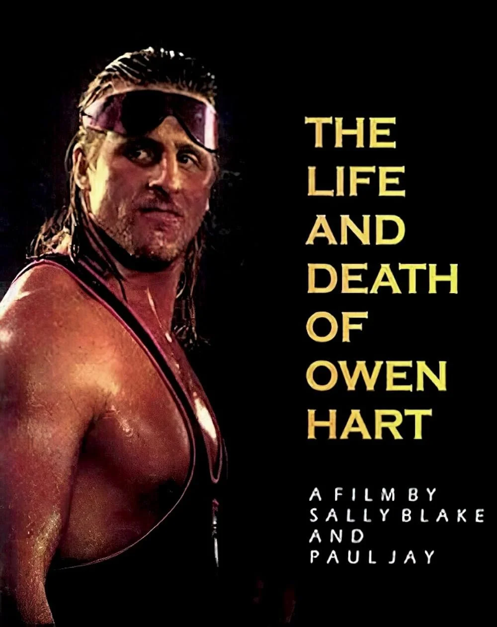Biography - The Life And Death Of Owen Hart (1999).jpg