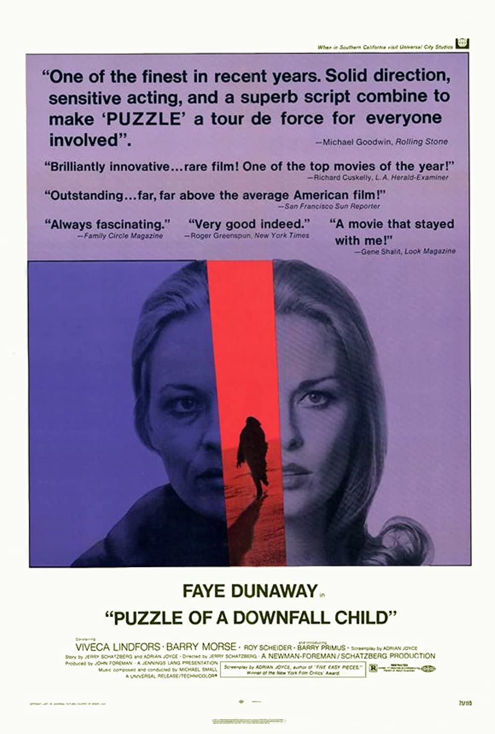 Puzzle Of A Downfall Child (1970) Faye Dunaway.jpg