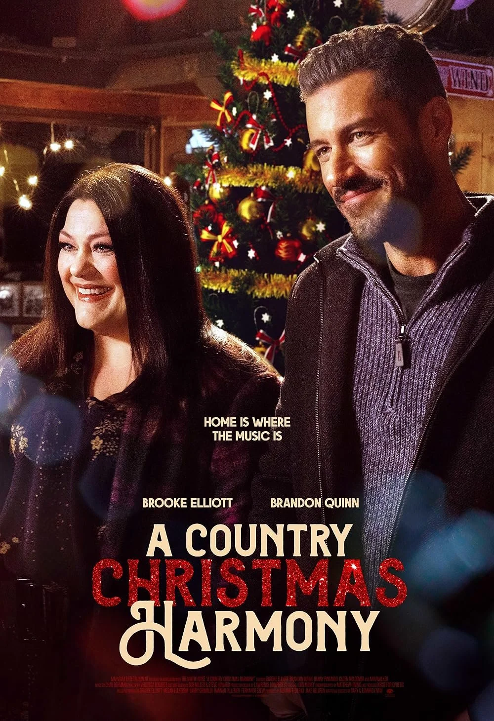 A Country Christmas Harmony (2022).jpg