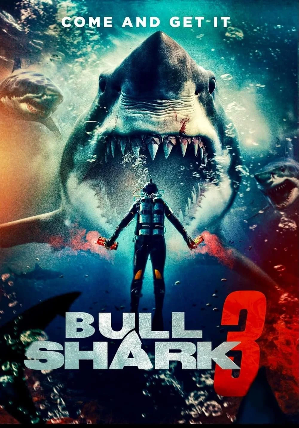 Bull Shark 3 (2024).jpg