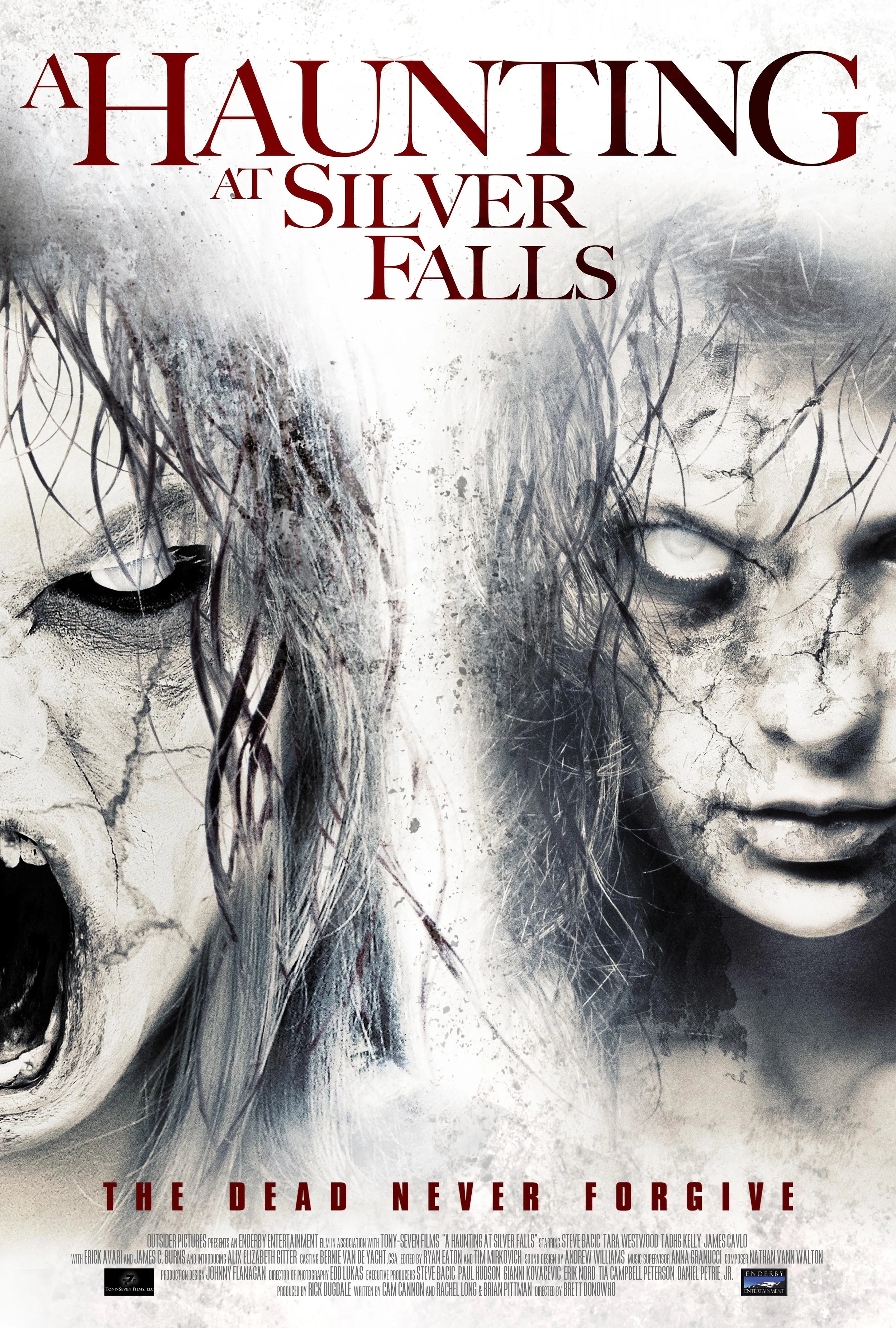 A Haunting At Silver Falls (2013).jpg