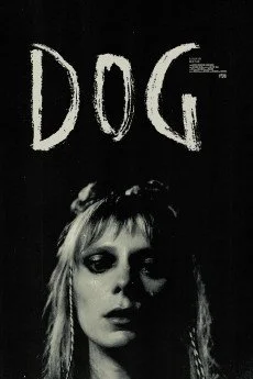 Dog (2024).jpg