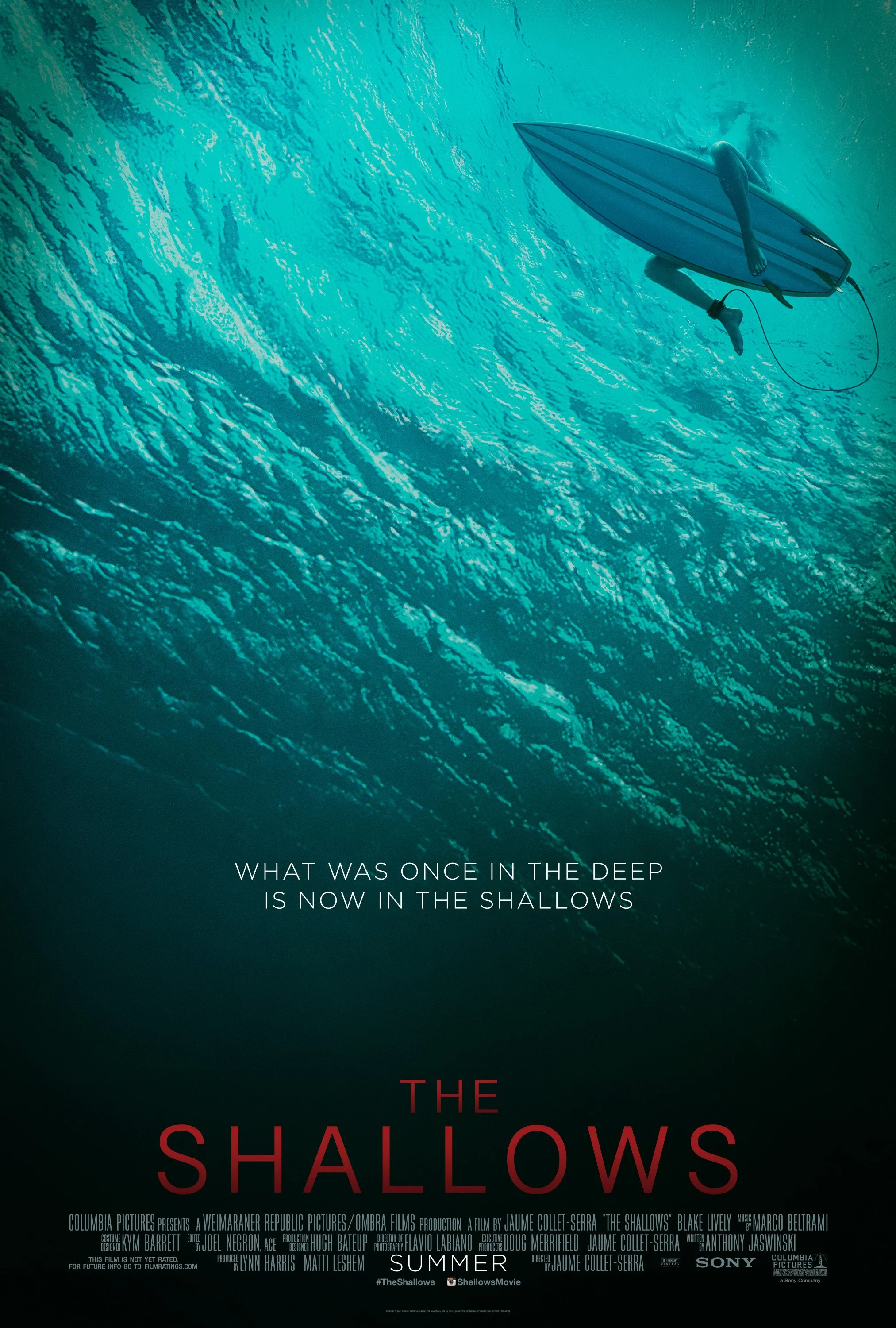 The Shallows (2016).jpg