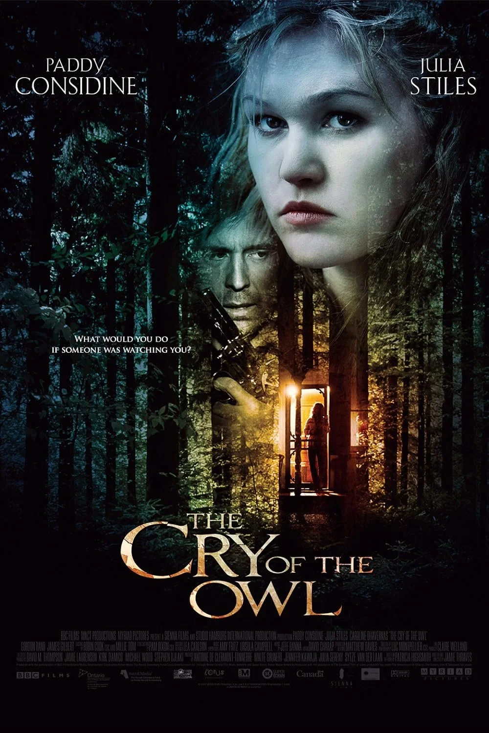The Cry Of The Owl (2009).jpg