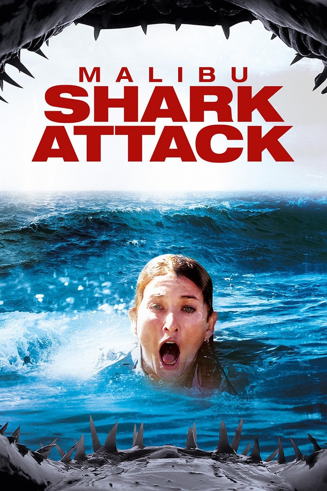 Malibu Shark Attack (2008).jpg