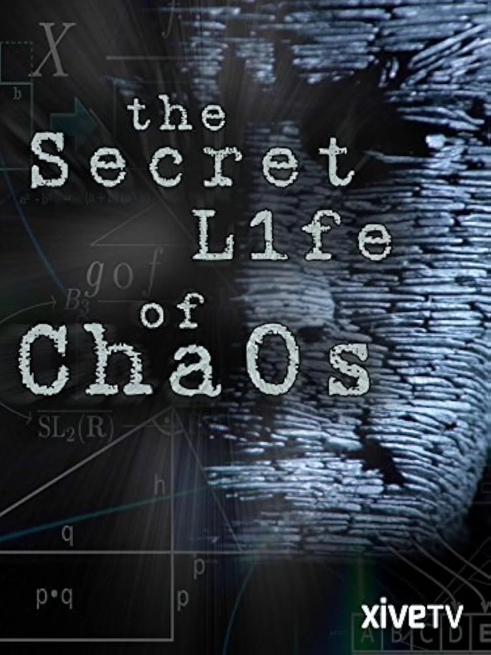 The Secret Life Of Chaos (2010).jpg