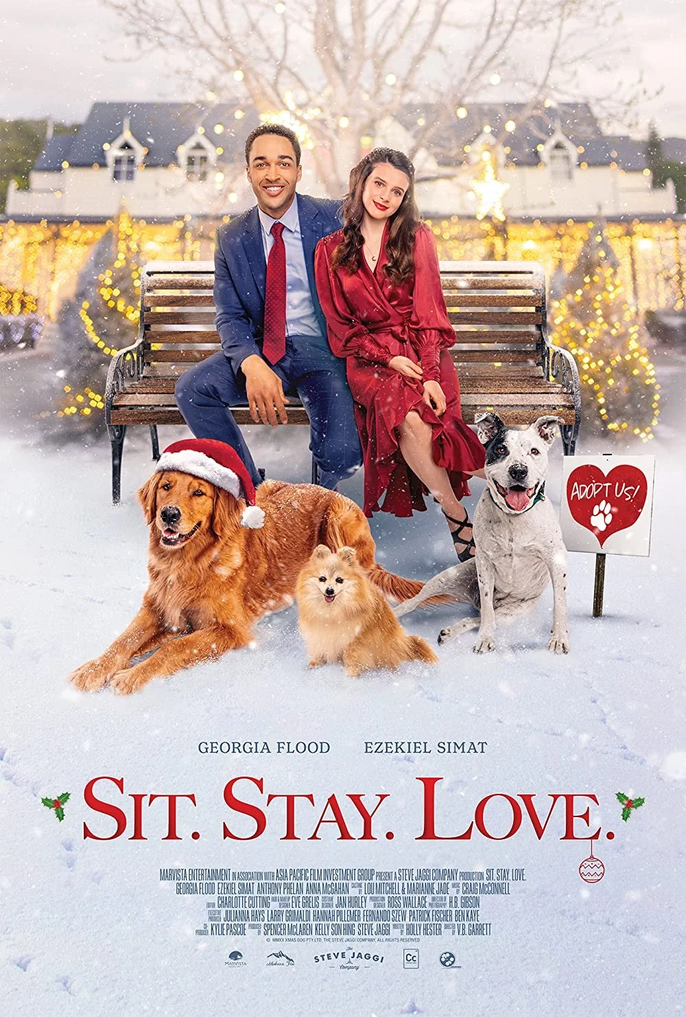 The Dog Days of Christmas (2021) aka Sit Stay Love.jpg