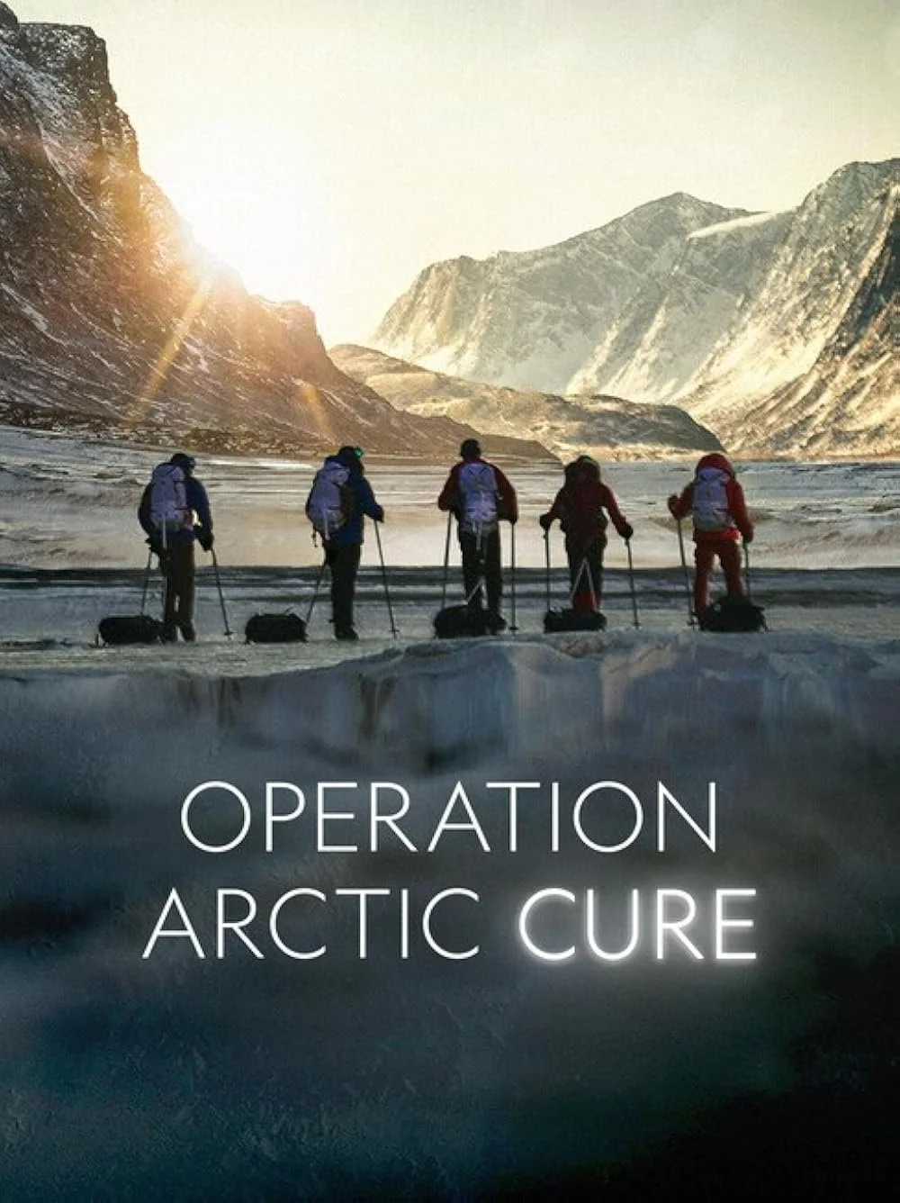 Operation Arctic Cure (2024)