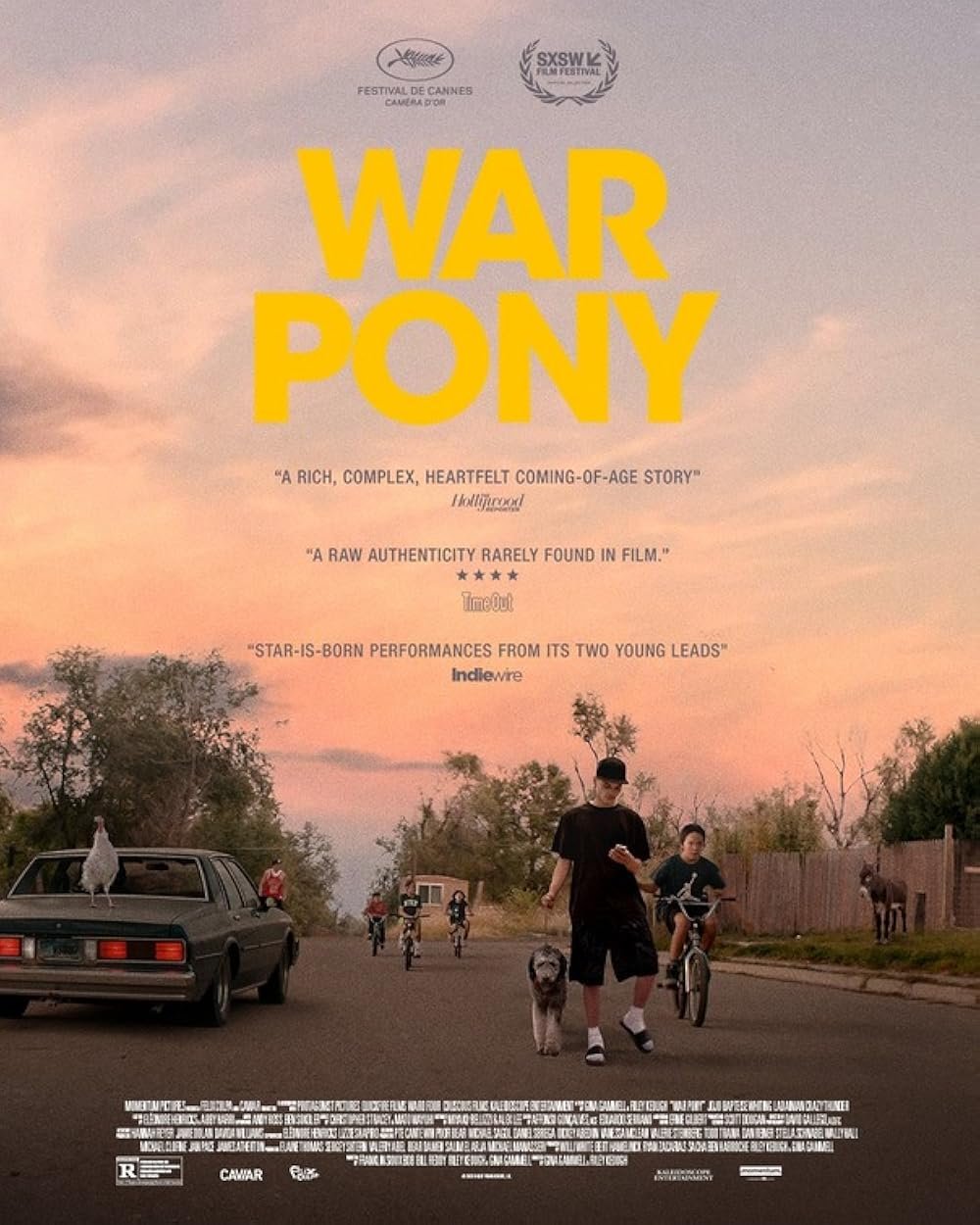 War Pony (2022).jpg