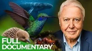 David Attenborough - Nature's Most Fascinating Creatures (2025).jpg