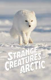 Strange Creatures Of The Artic (2022).jpg