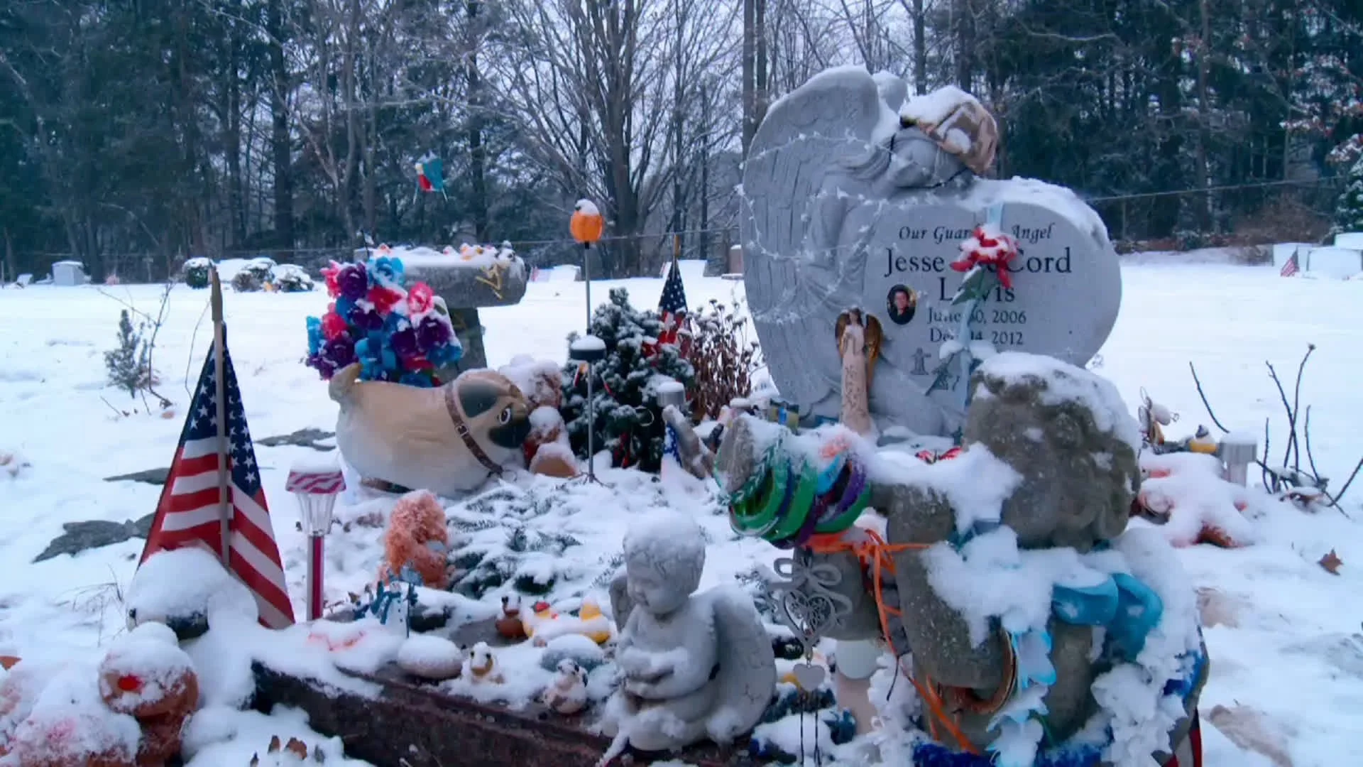 Sandy Hook - Surviving The Horror.jpg