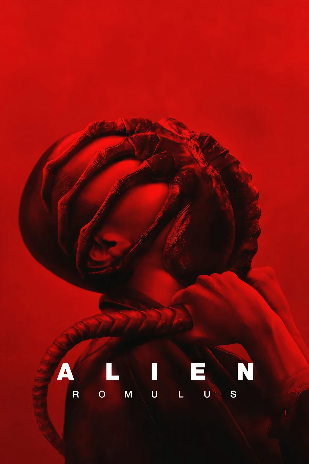 Alien - Romulus (2024).webp