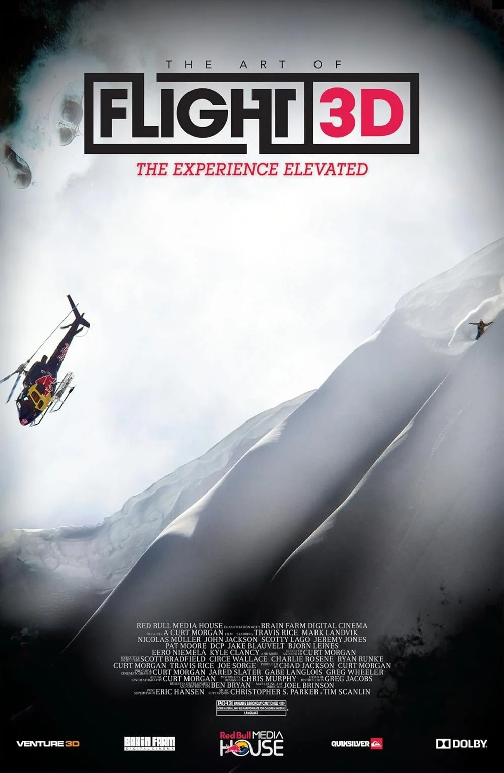 The Art Of Flight (2011).jpg