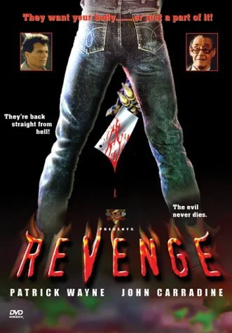 Revenge (1986).jpg