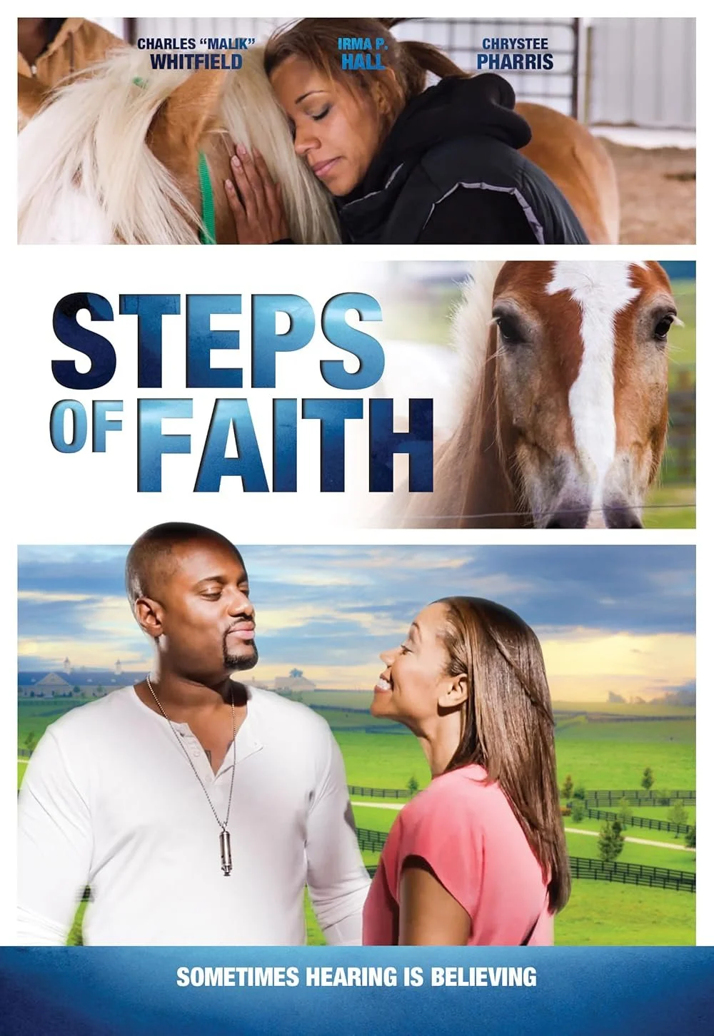 Steps Of Faith (2014).jpg