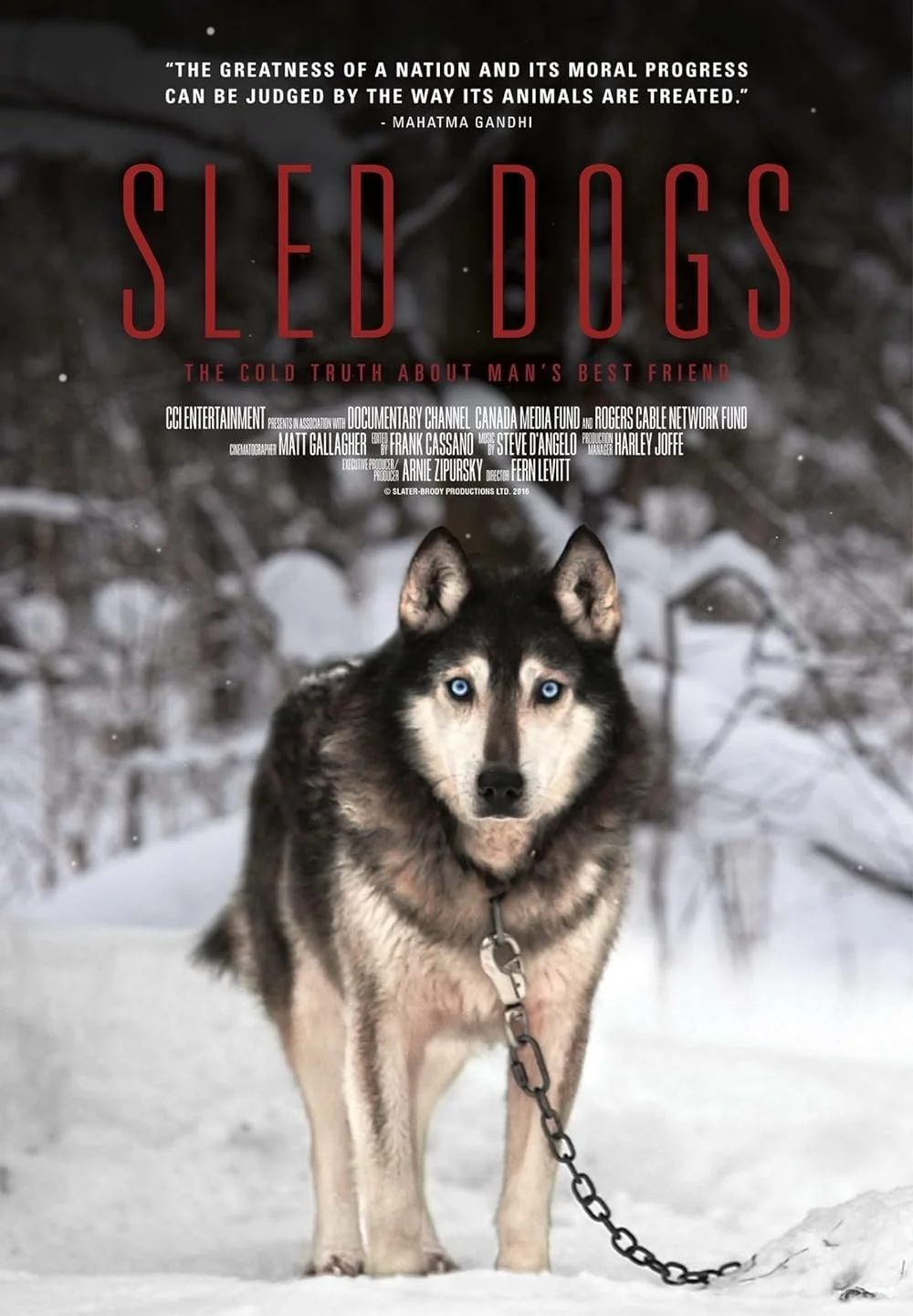 Sled Dogs (2016).jpg