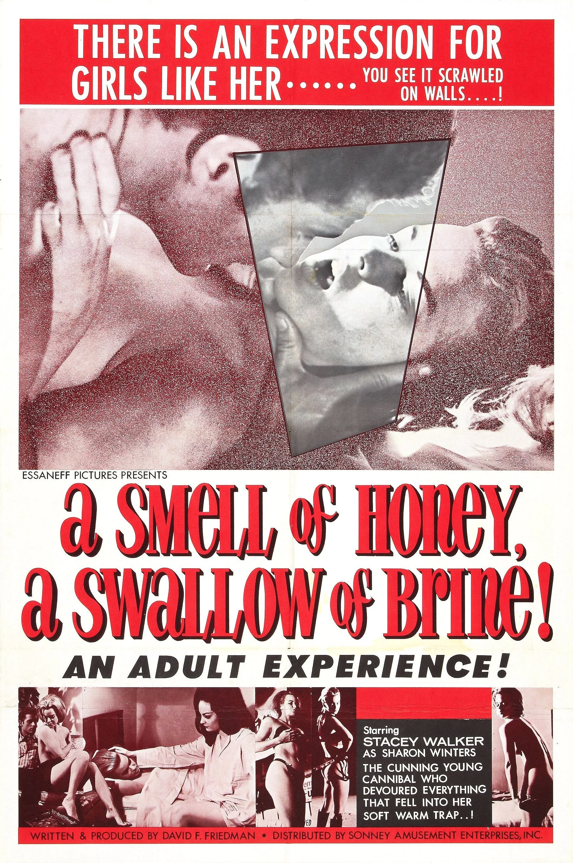 A Smell Of Honey A Swallow Of Brine (1966).jpg