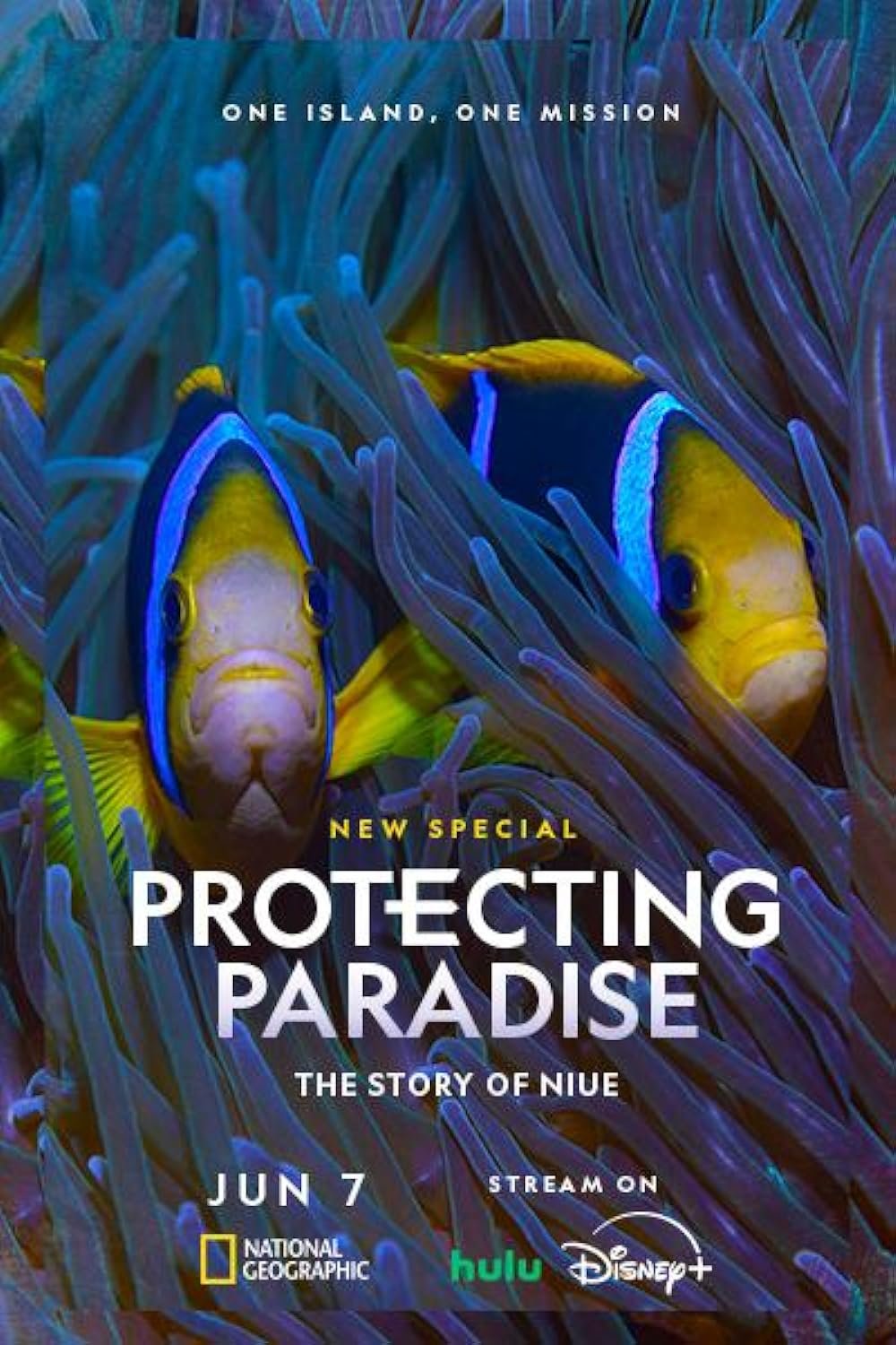 Protecting Paradise - The Story Of Niue (2024).jpg