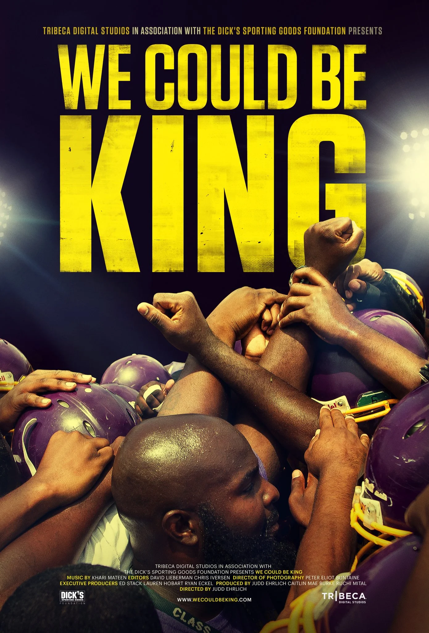 We Could Be King (2014).jpg