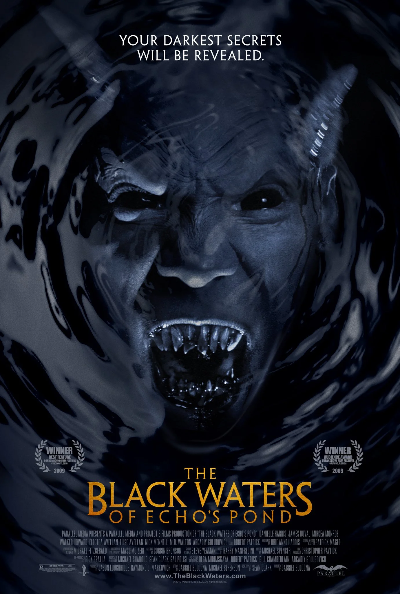 The Black Waters Of Echo's Pond (2009).jpg