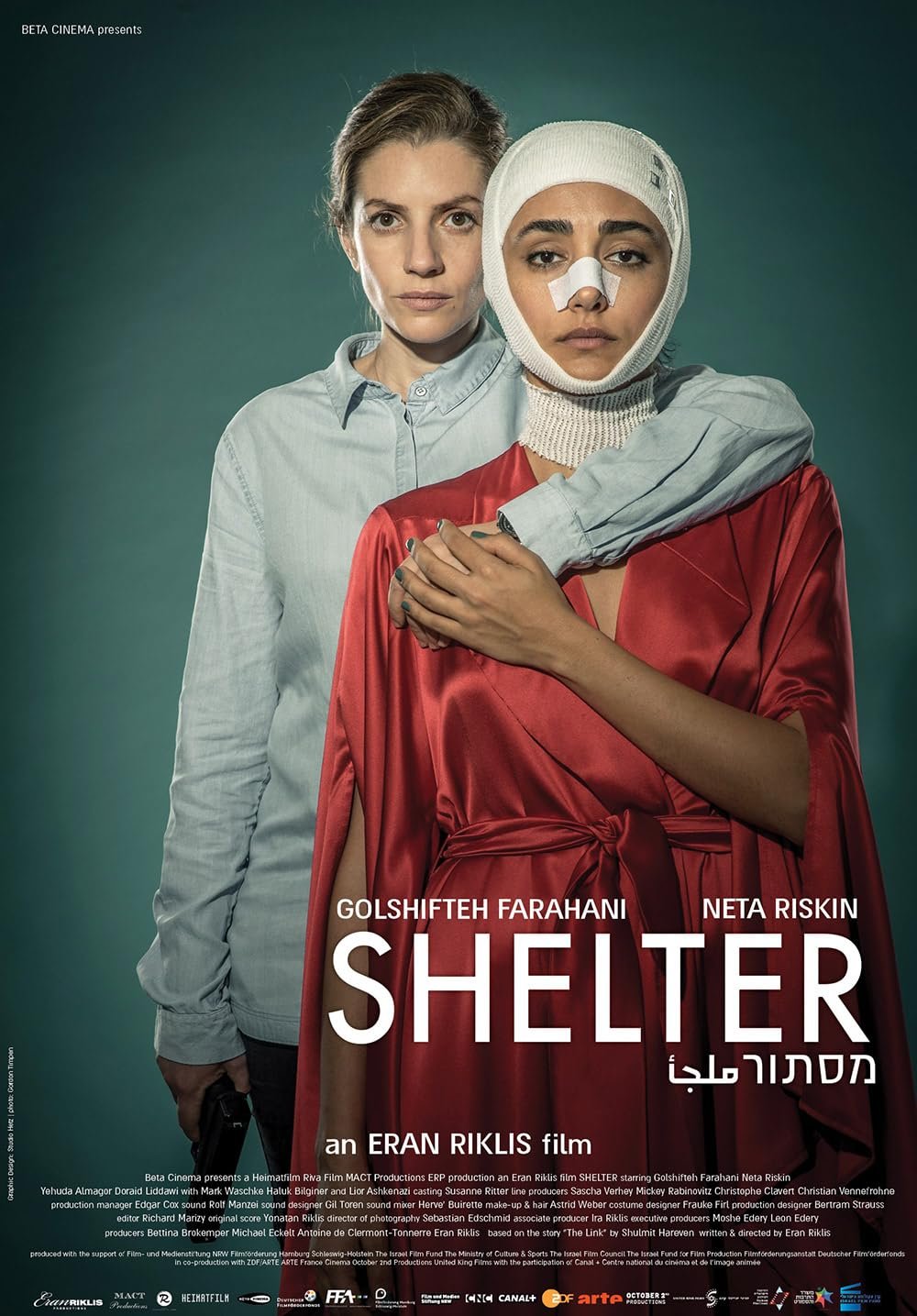 Shelter (2017).jpg