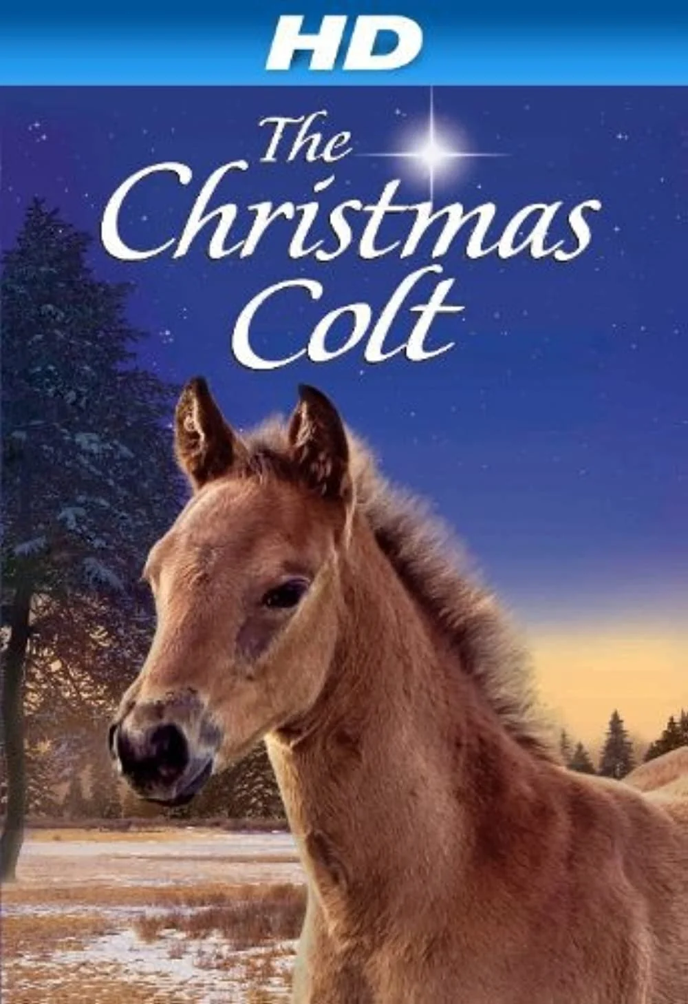 The Christmas Colt (2013).jpg