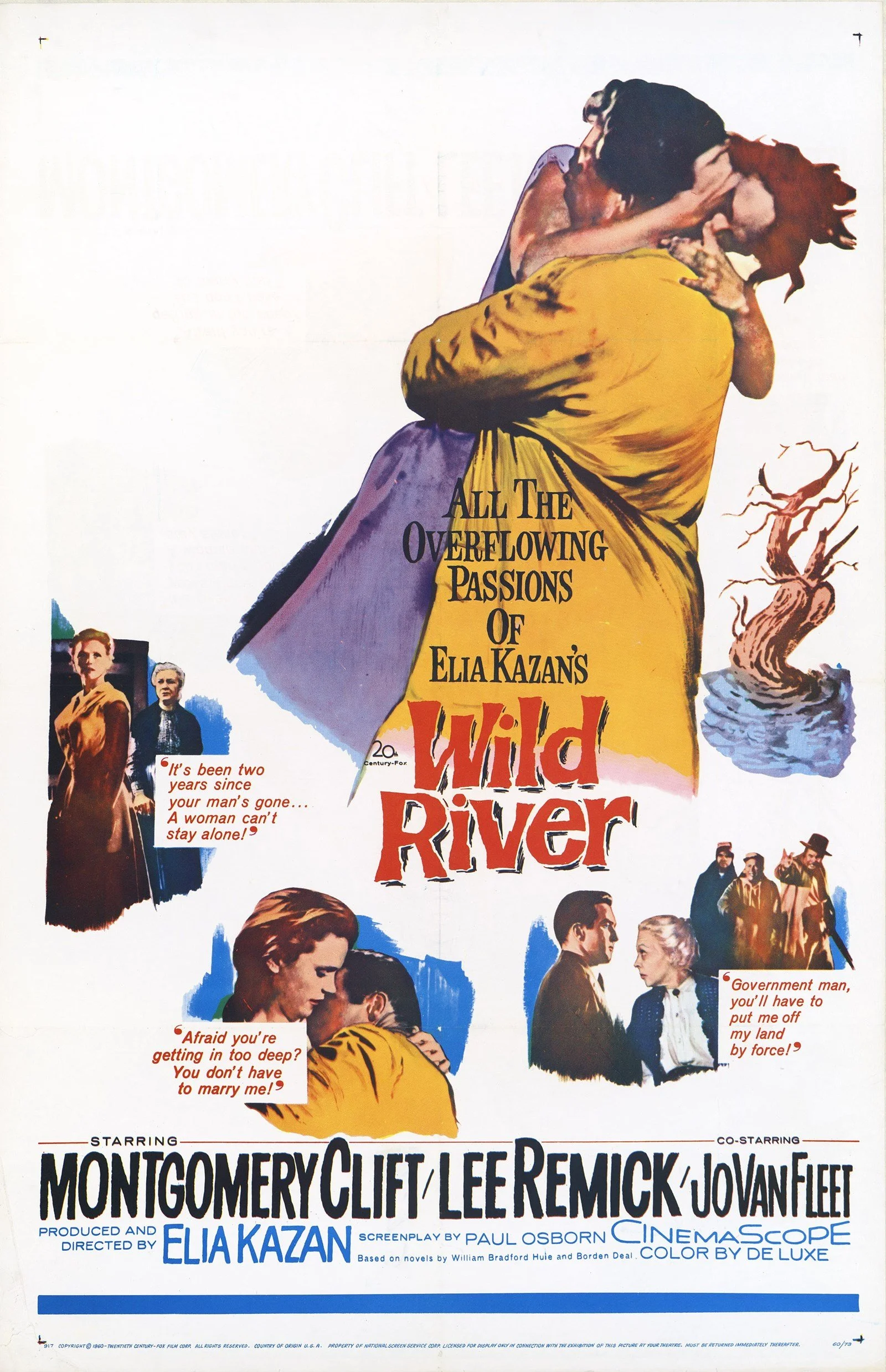 Wild River (1960).jpg