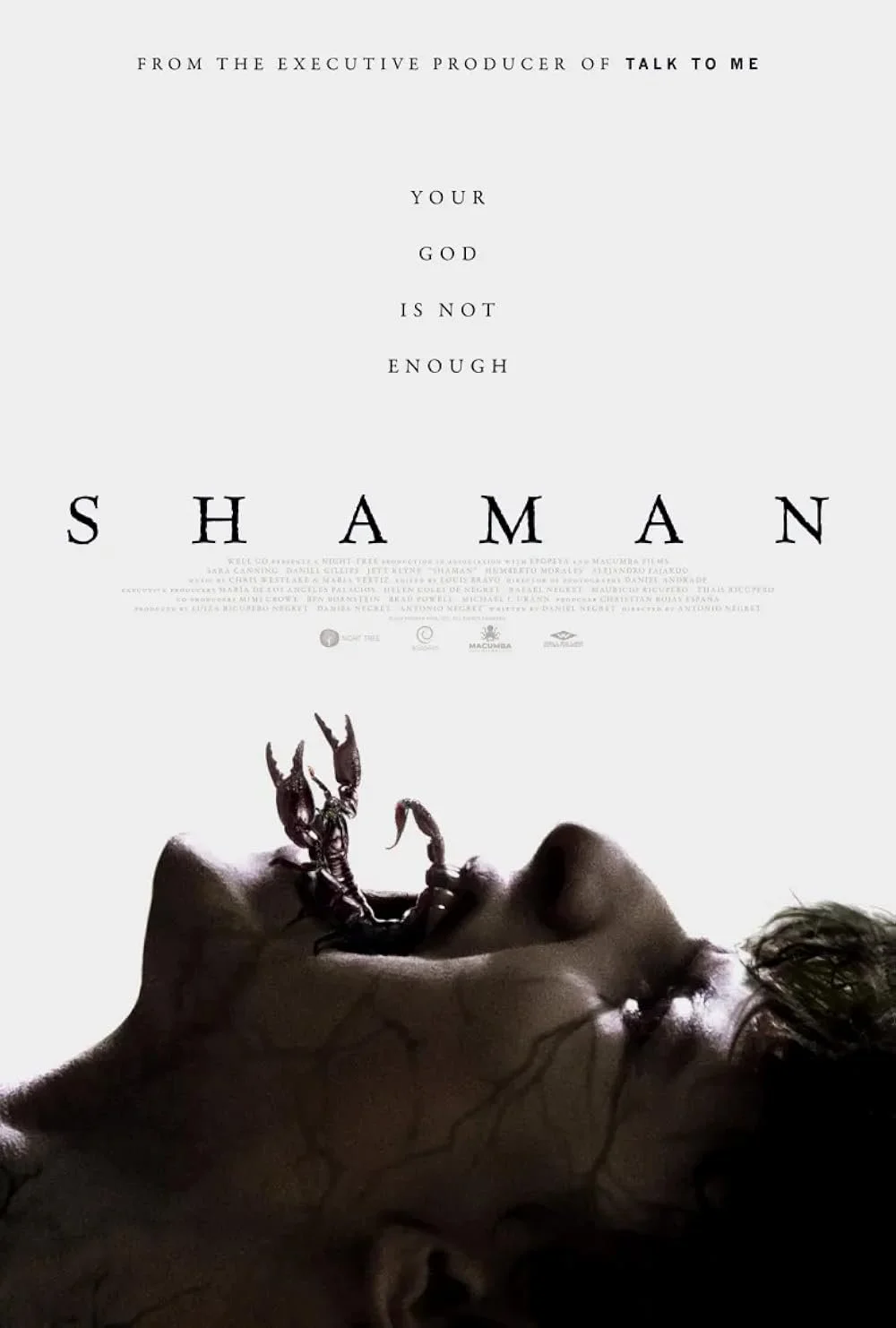 Shaman (2025).jpg