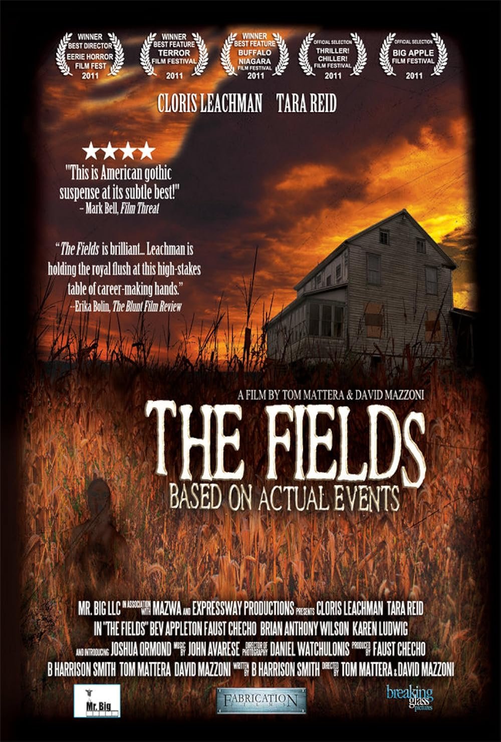 The Fields (2011).jpg