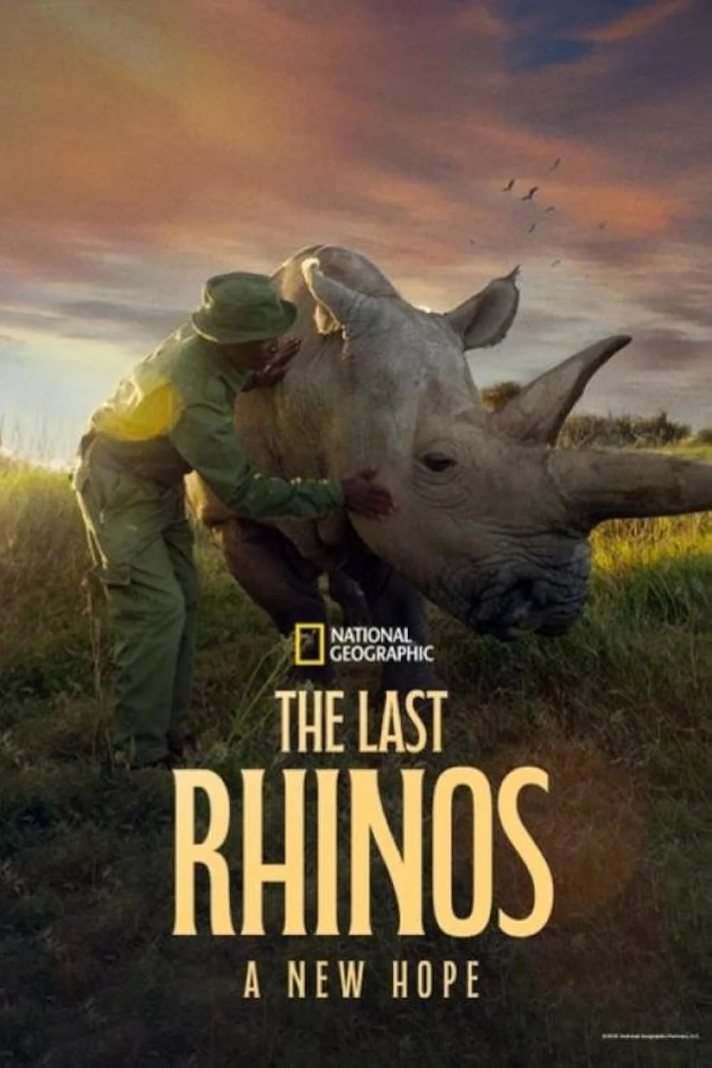The Last Rhinos - A New hope (2025).jpg