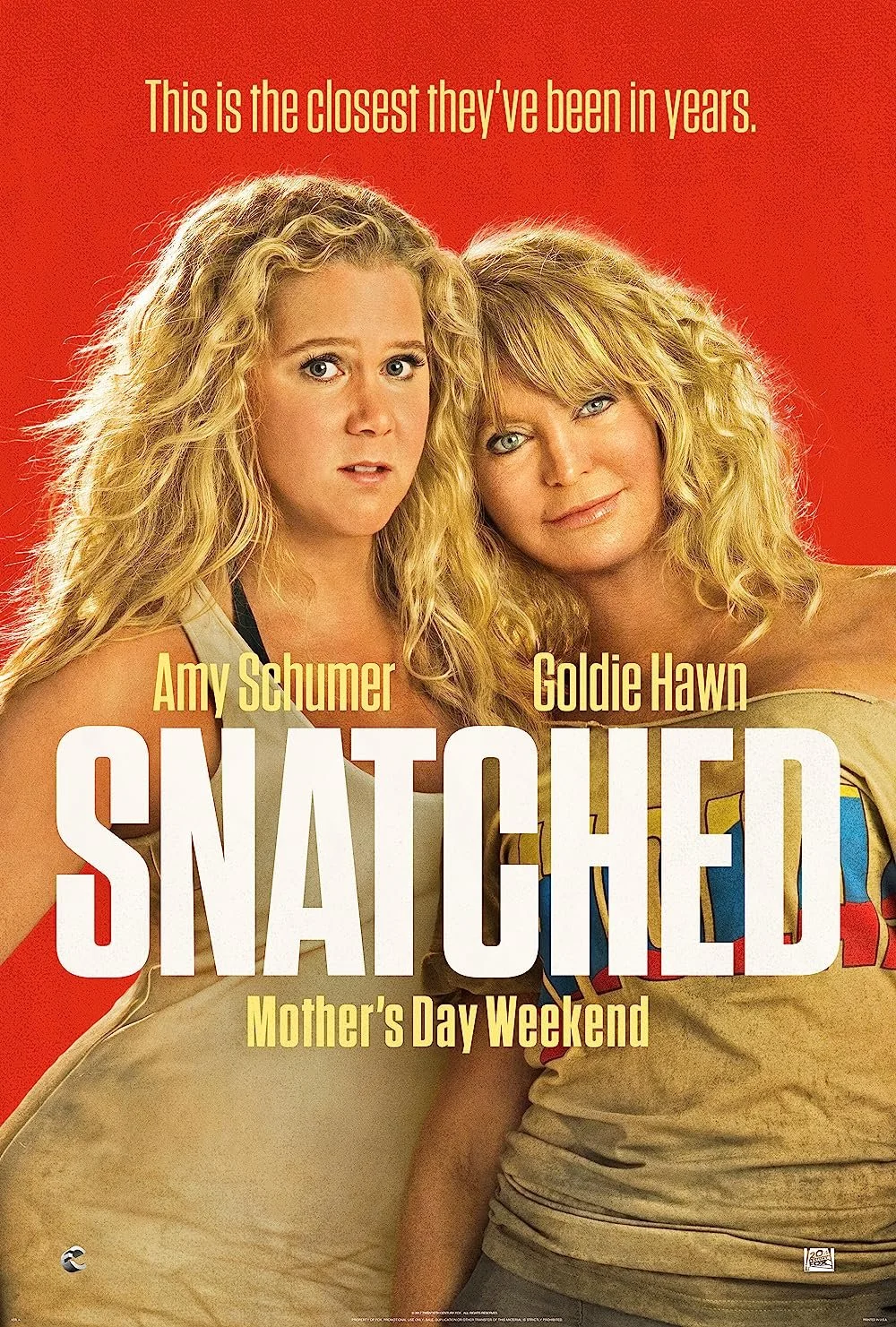 Snatched (2017).jpg