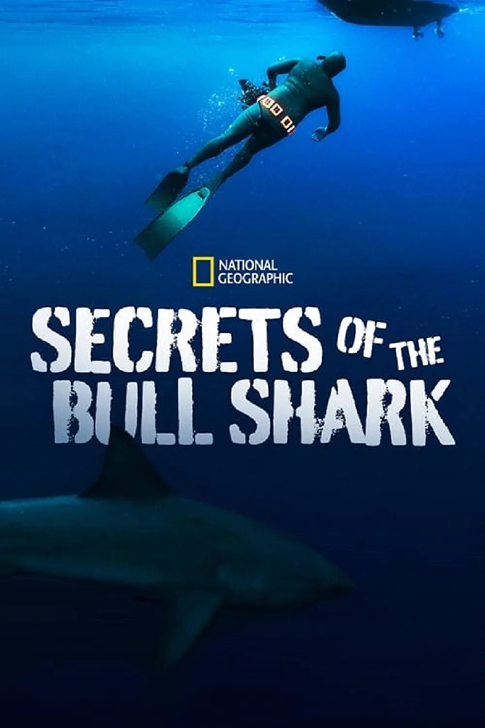 Secrets Of The Bull Shark (2020).jpg