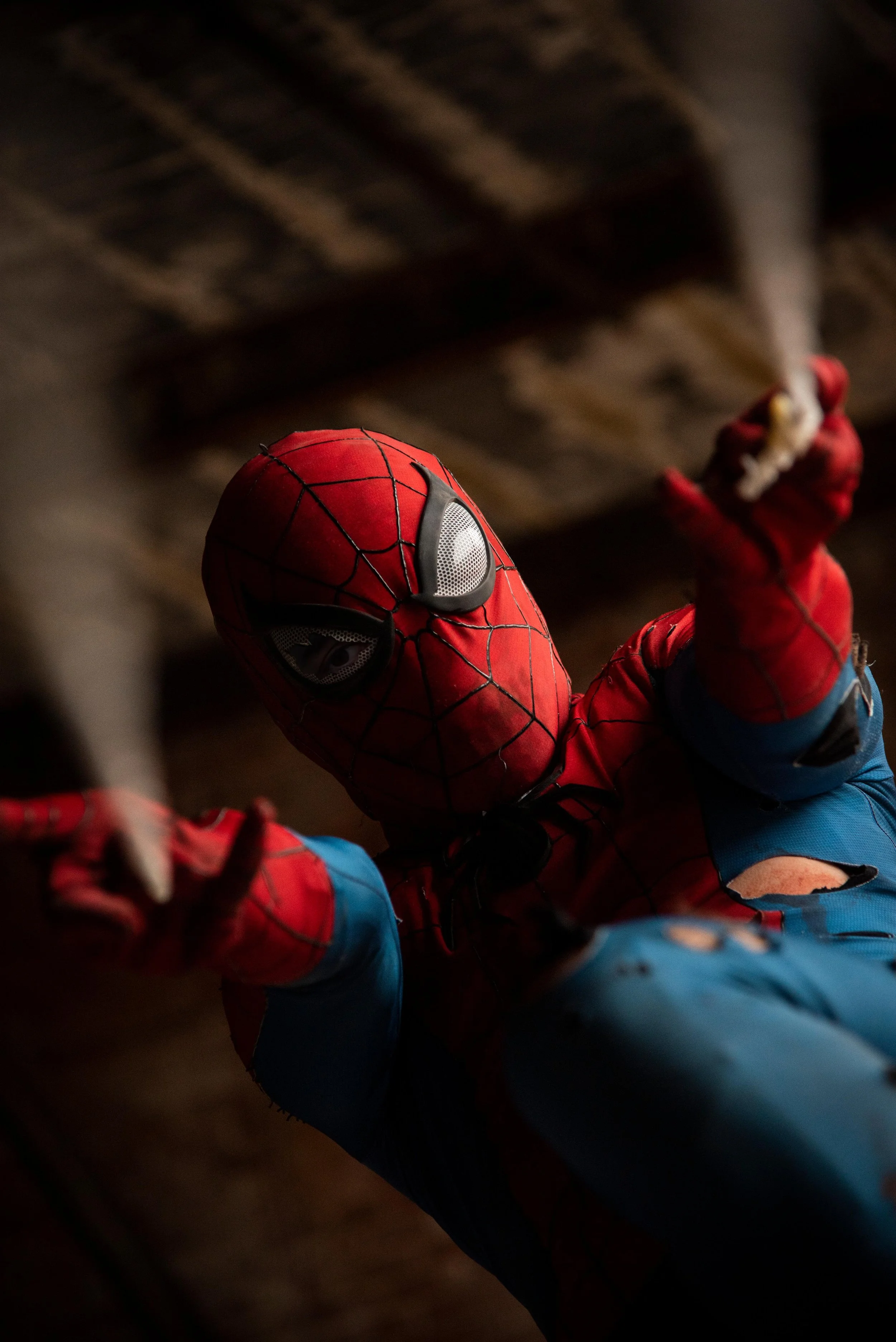 Spiderman - Last Web (2025).jpg