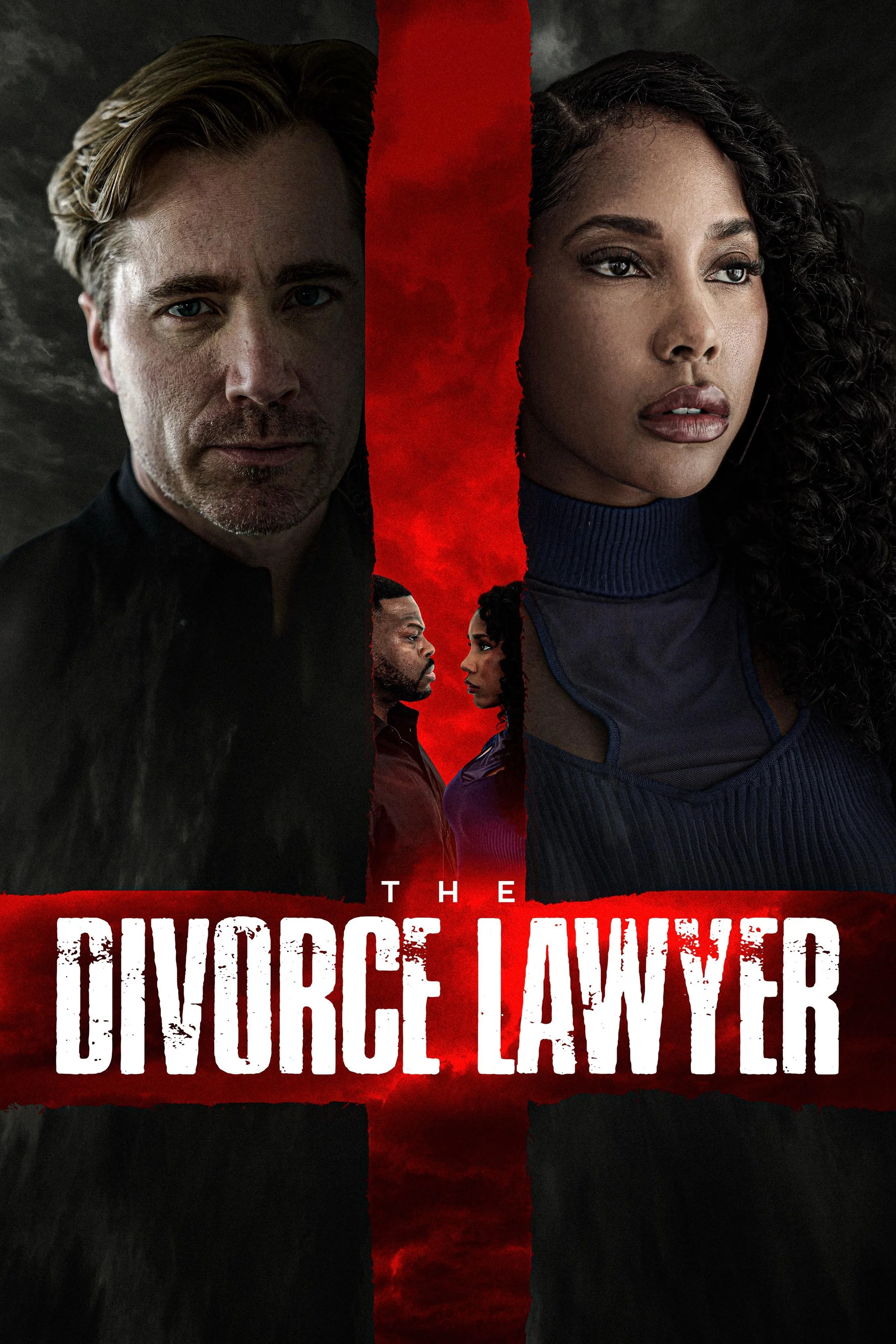 The Divorce Lawyer (2025).jpg