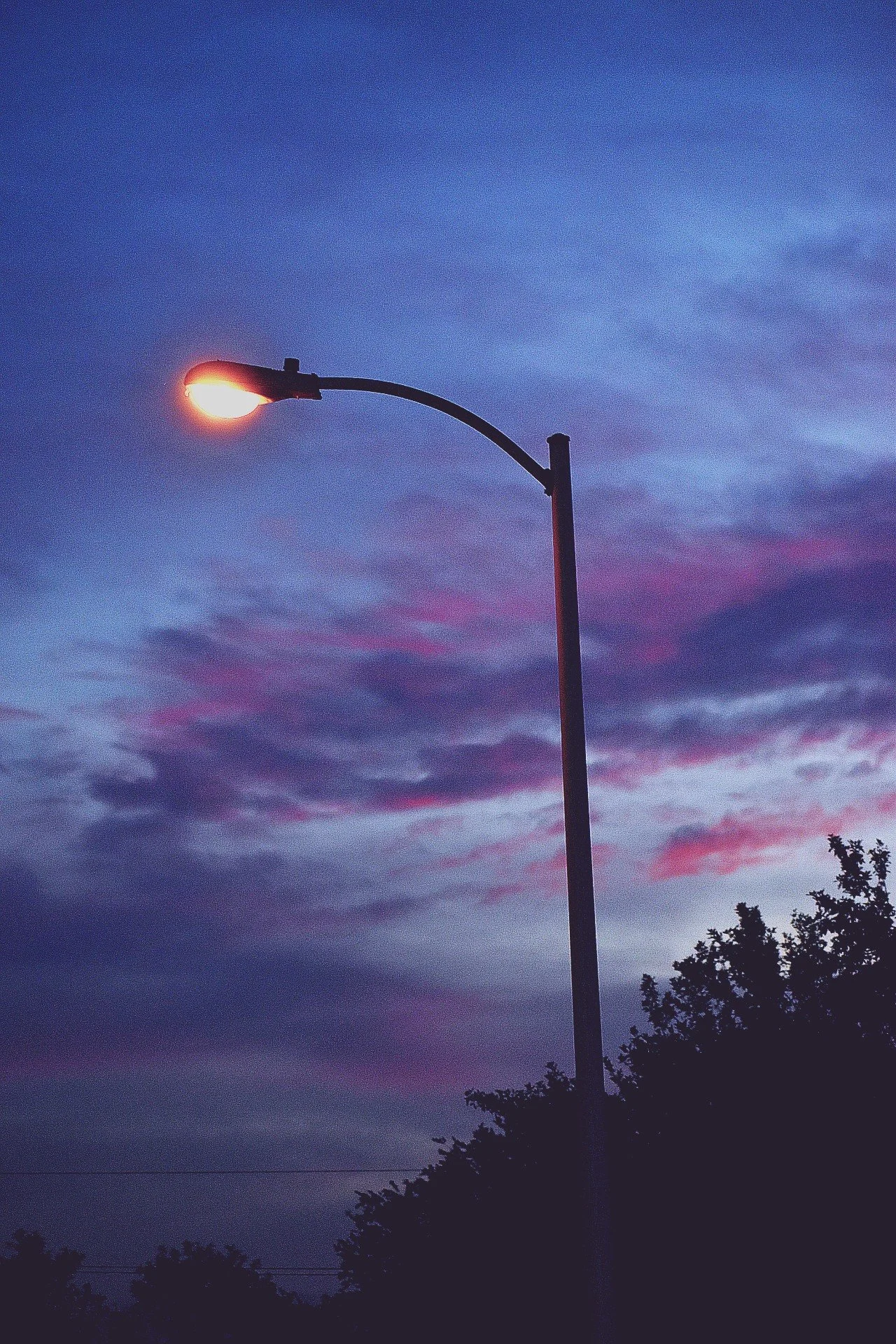 Streetlight illuminated during twilight with a colorful sky and silhouetted trees.