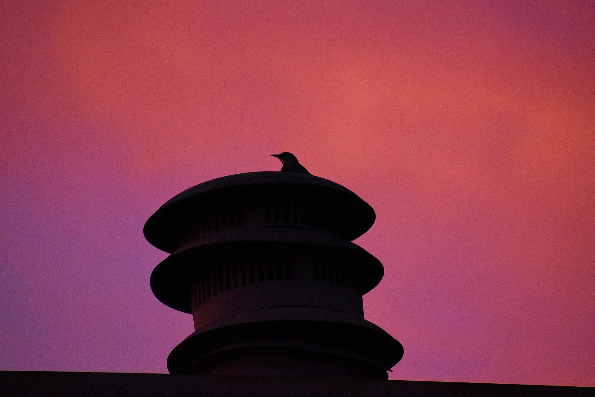 Silhouette of a bird perched on top of a vent against a colorful sunset sky with pink and purple hues.