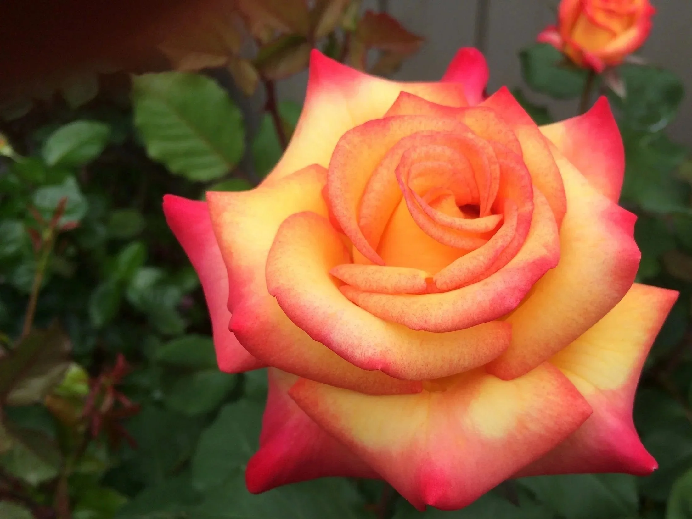 Relationship Counselling