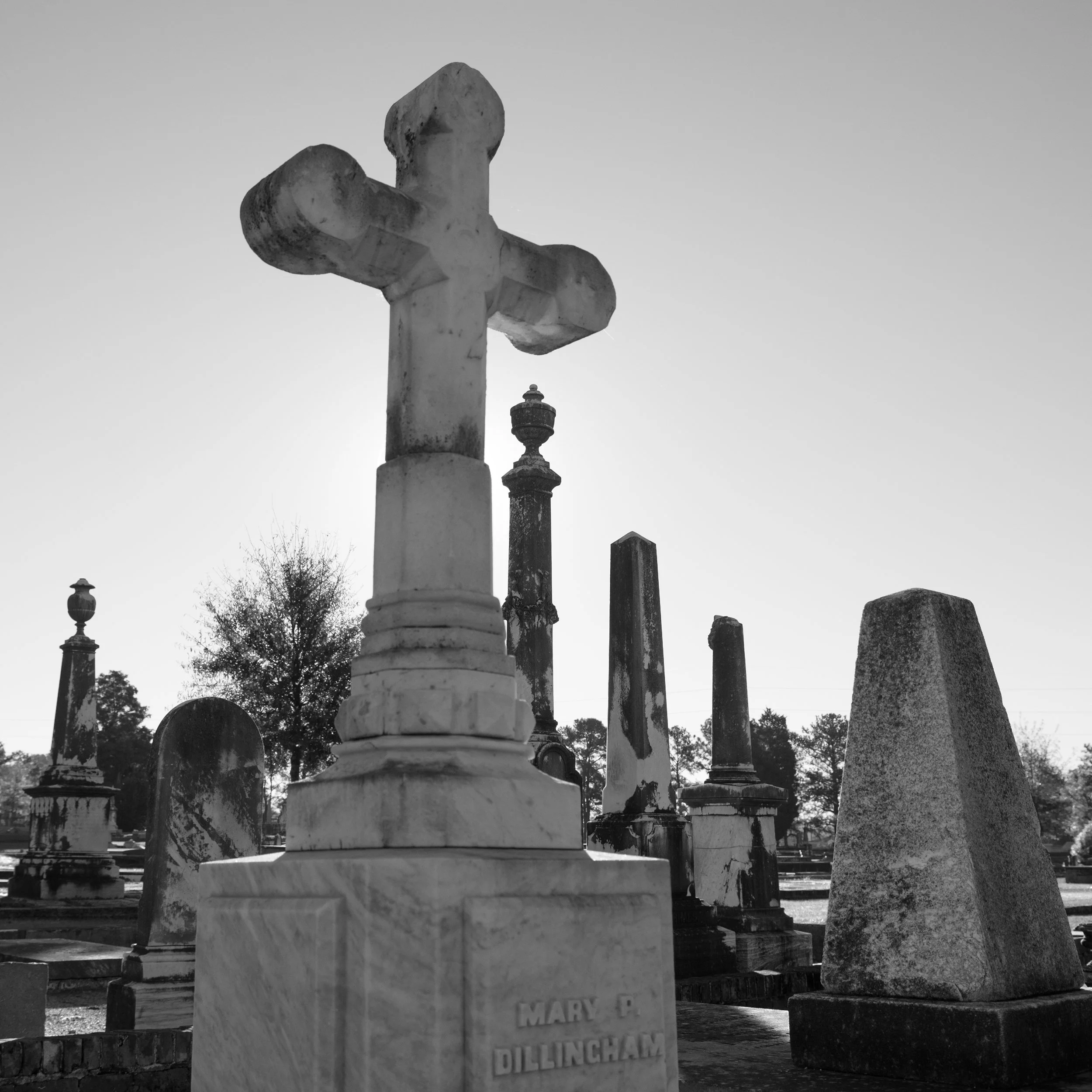 DSC_2142.jpg