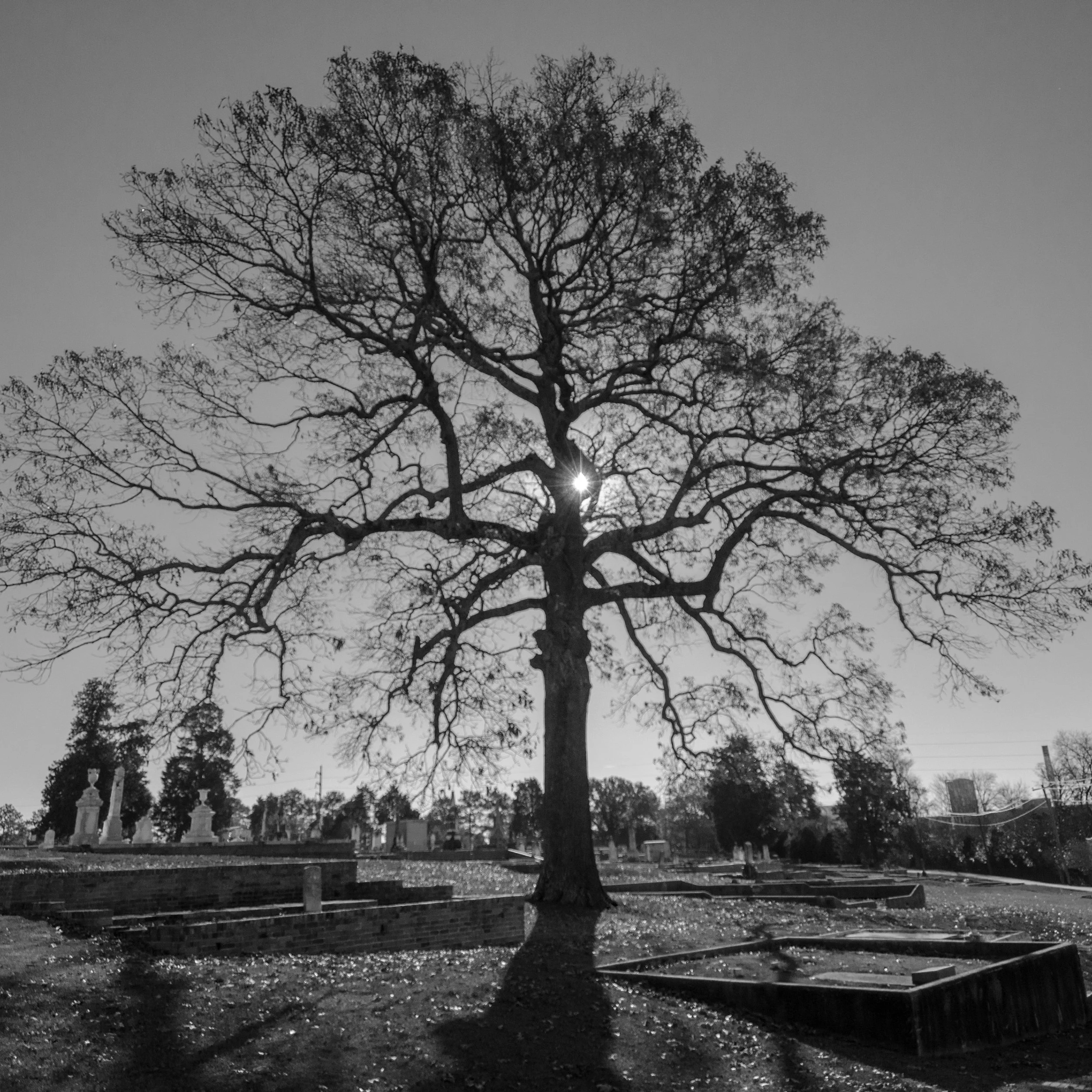 DSC_6191.jpg
