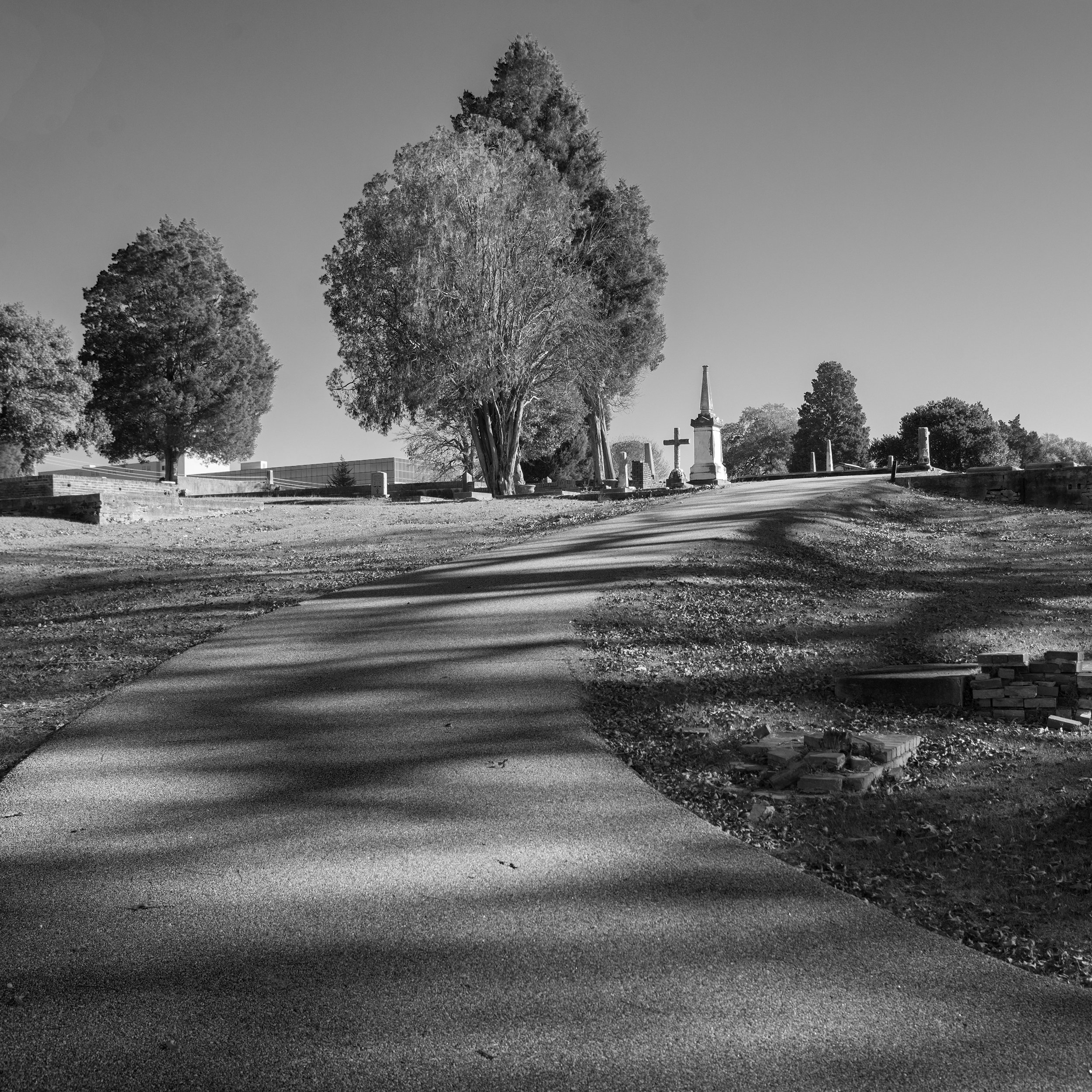 DSC_2193.jpg