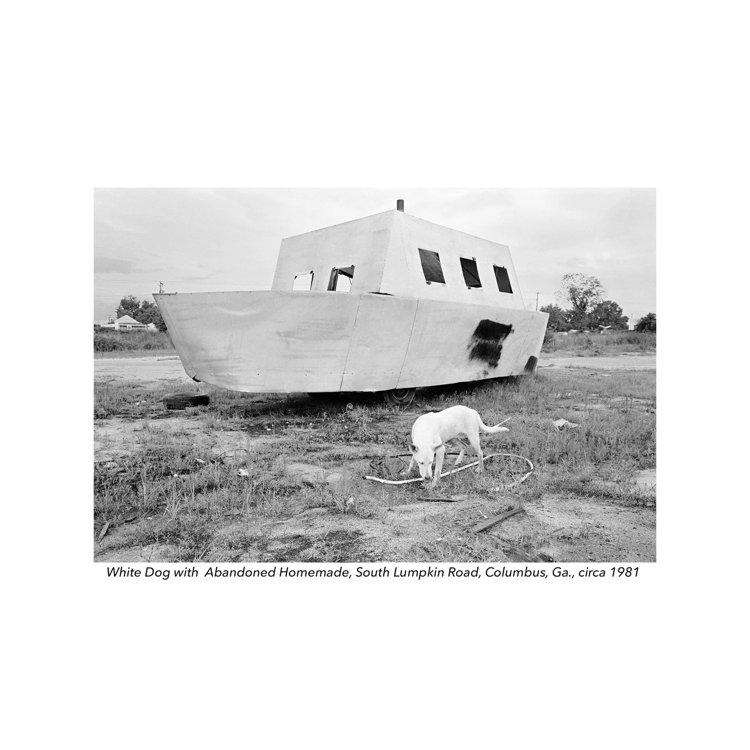 Dog with Homemade Boat.jpg