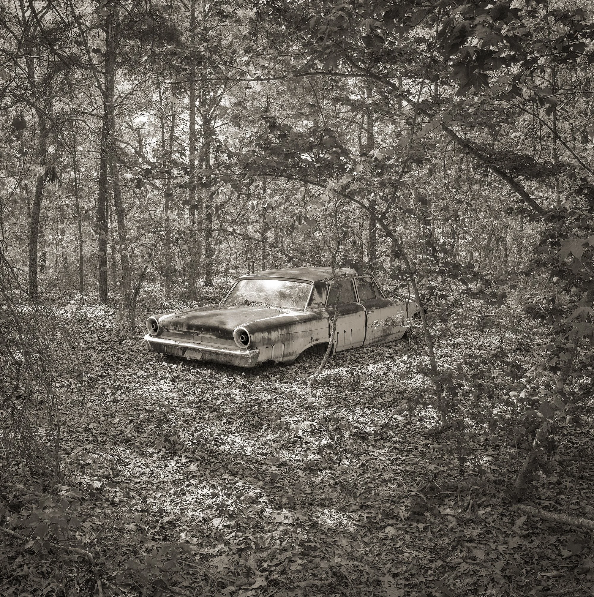 Galaxie Clearing.jpg