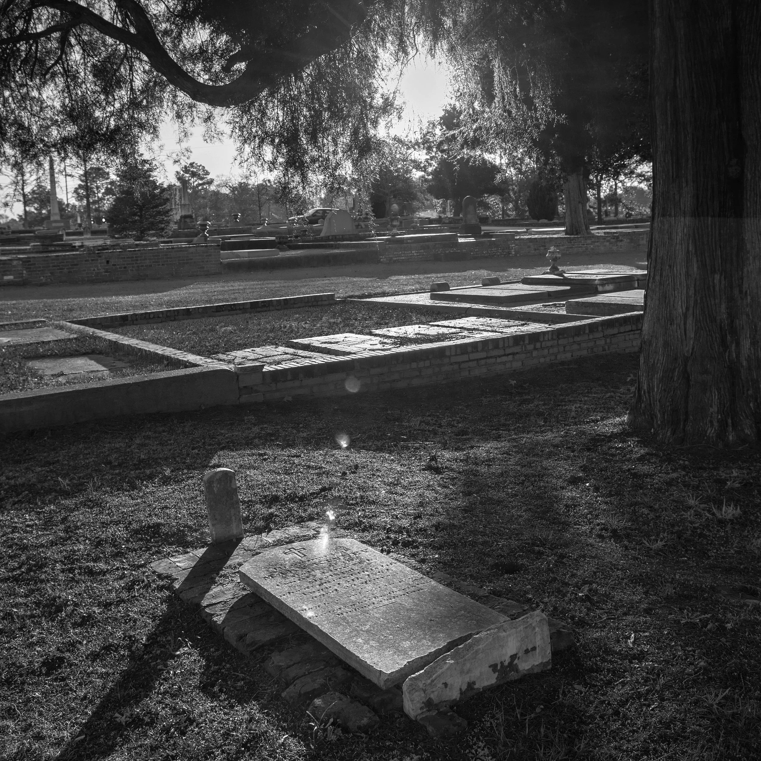 DSC_2084_BW adj.jpg