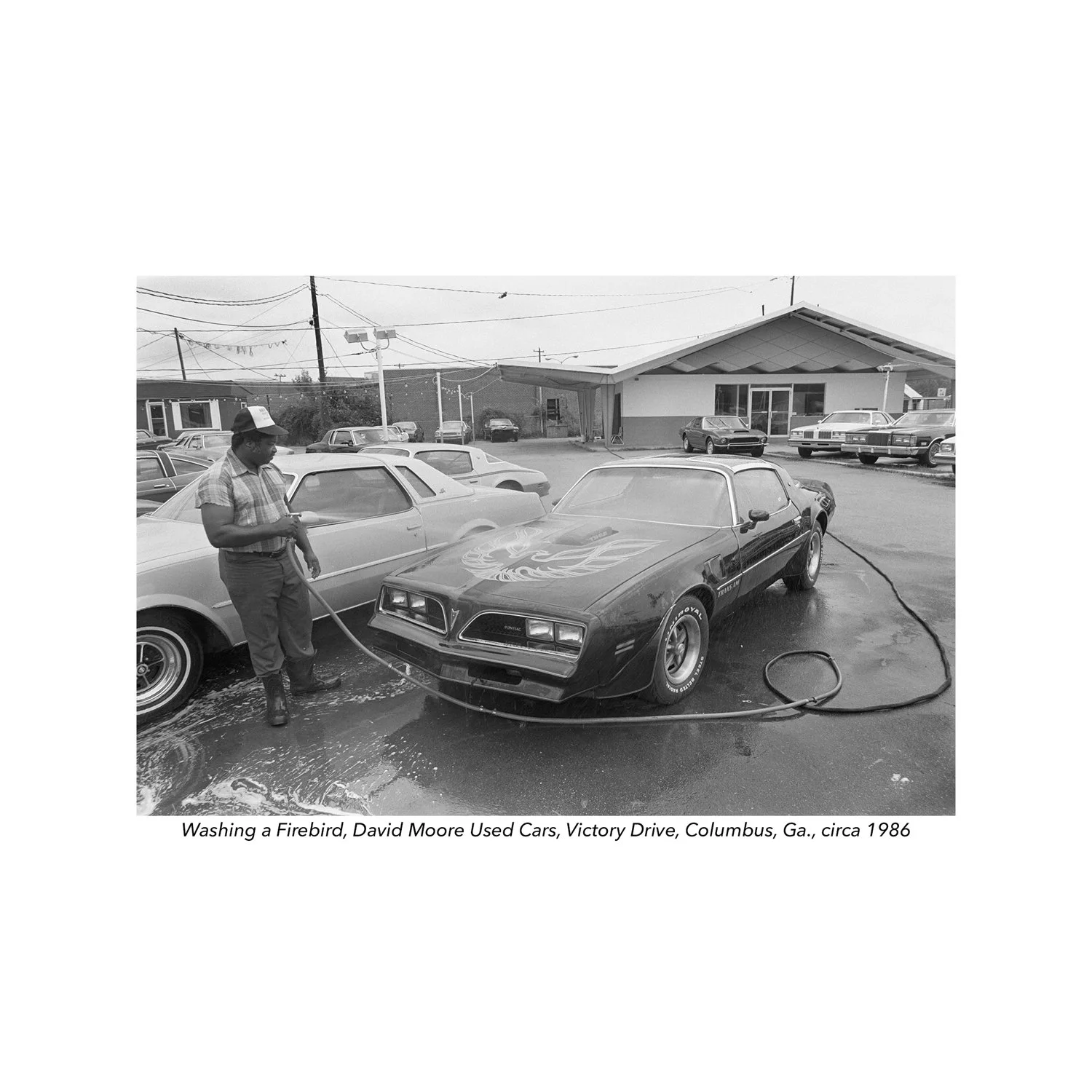 Firebird, David Moores Used Cars.jpg