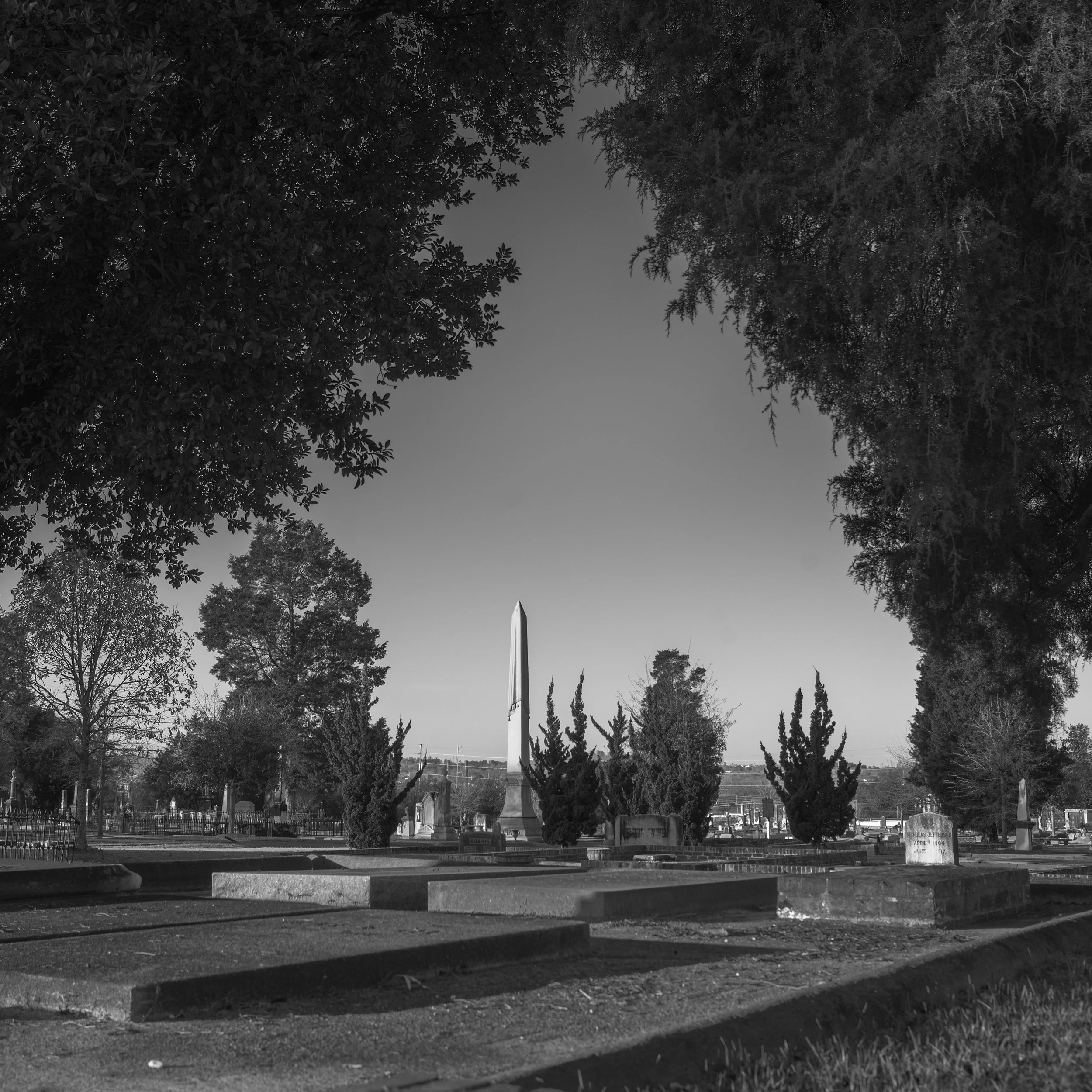 DSC_2076.jpg