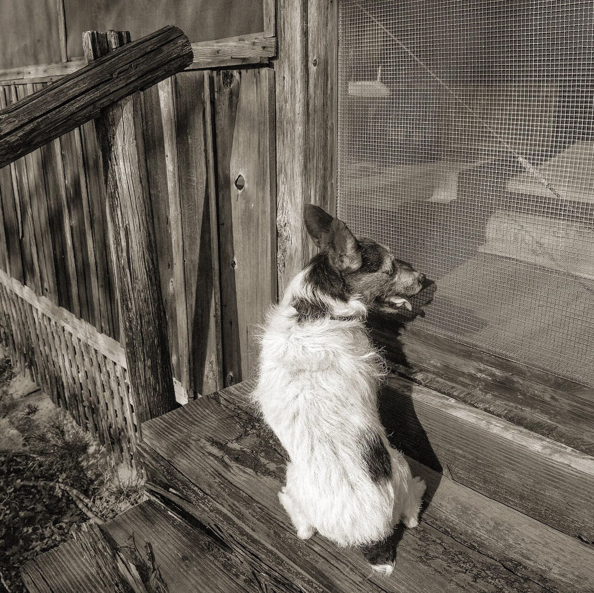 Outside.jpg