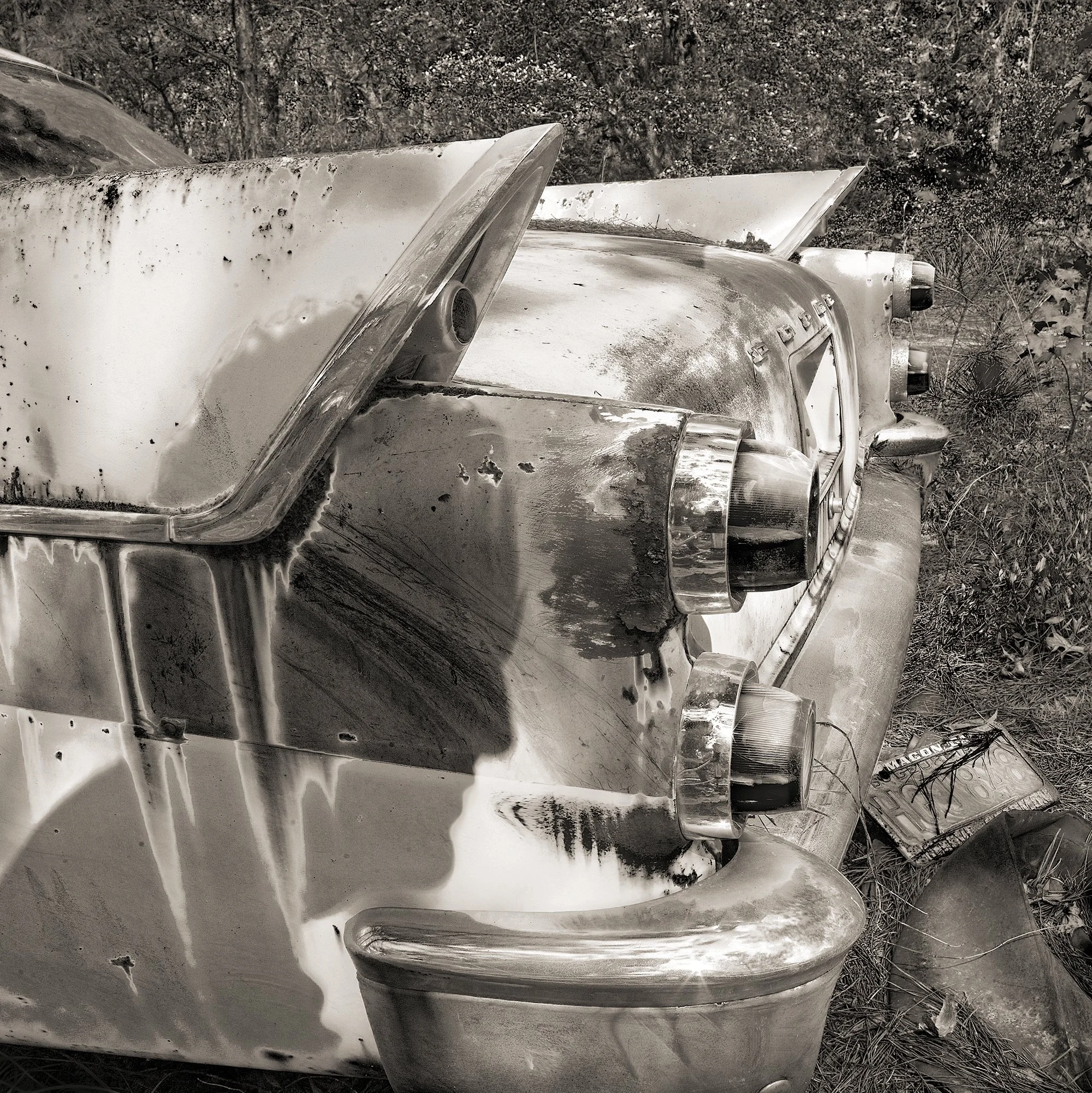 Self Portrait with 57 Dodge.jpg