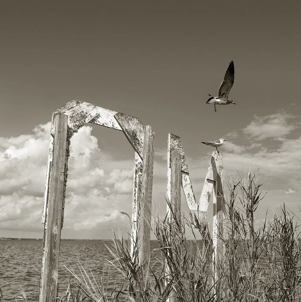 Motel Sign-Gulls-East Bay at Indian Creek-East Point-Florida.jpg