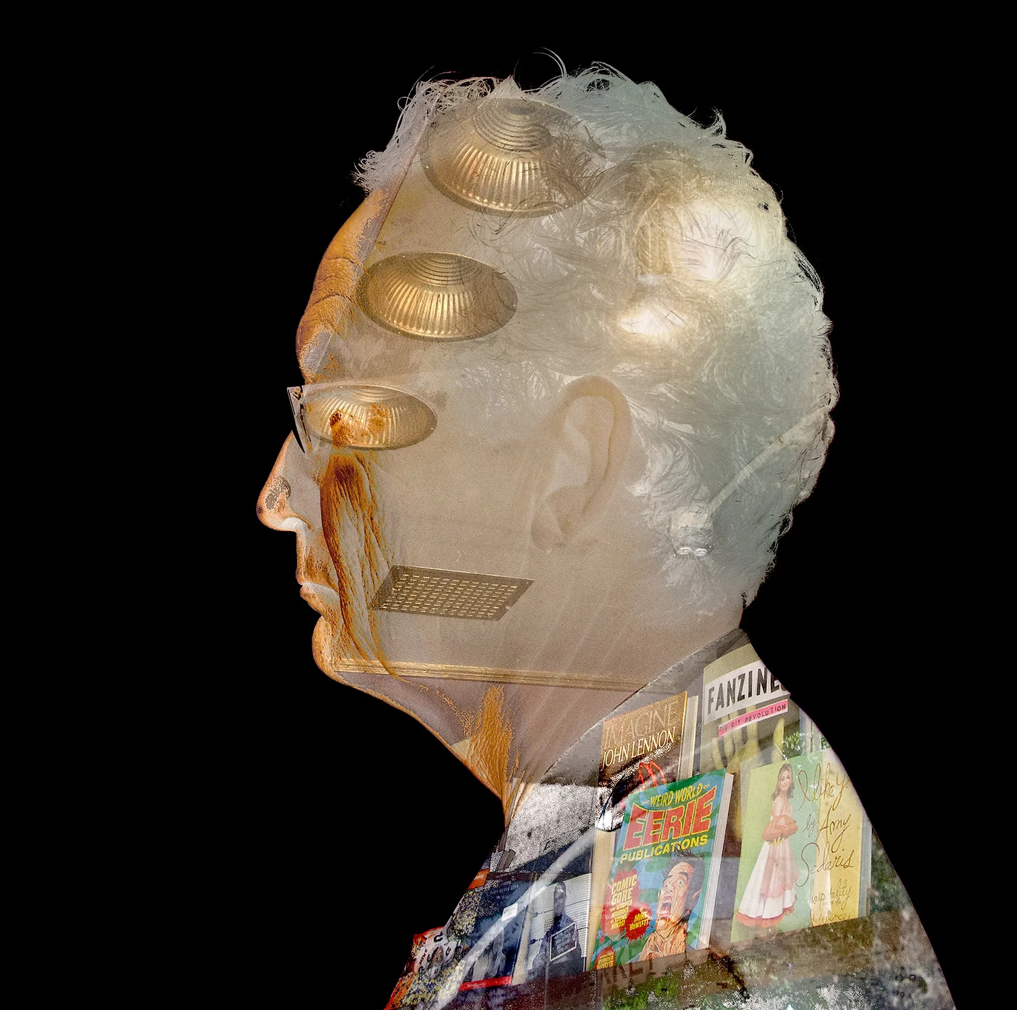 Judy Bugs Window.jpg